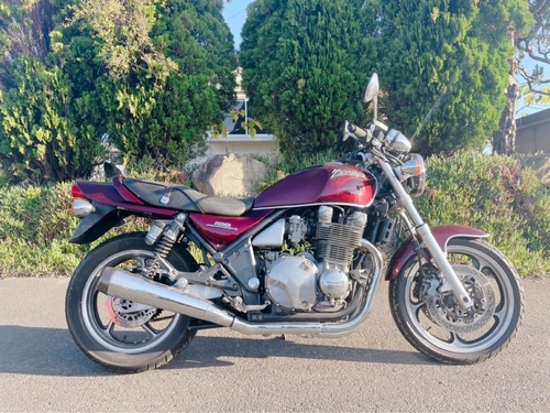 010049 ZEPHYR1100  