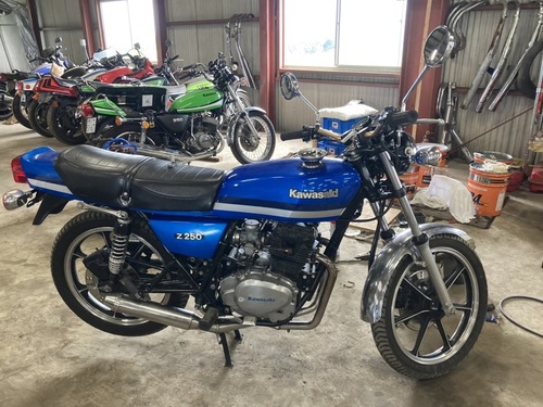 029681 Z250FT  