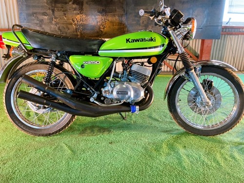 019485 KH250   